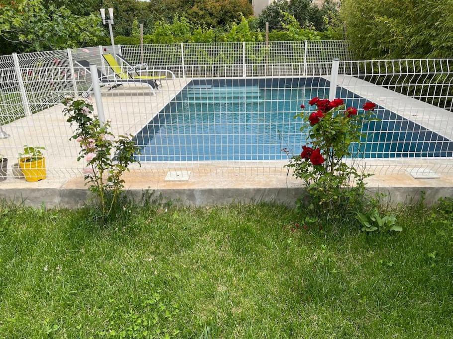 Villa Climatise Avec Piscine Et Jacuzzi Carpentras Esterno foto