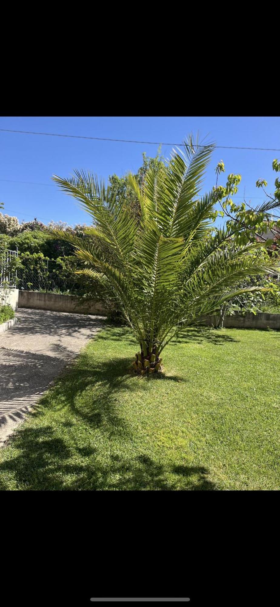 Villa Climatise Avec Piscine Et Jacuzzi Carpentras Esterno foto